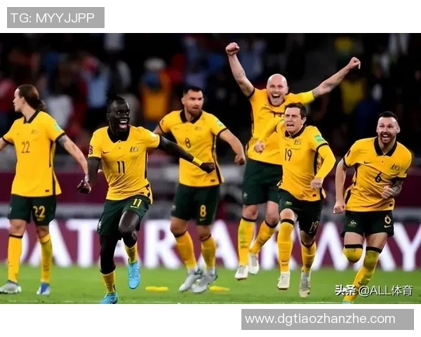 全球男子足球明星阵容全景图展示与分析